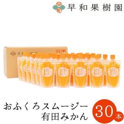 ふるさと納税 有田市 [早和果樹園]おふくろスムージー有田みかん 飲むみかんゼリー(パウチタイプジュレ)170g×30本入