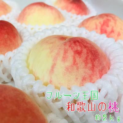 ふるさと納税 由良町 [2026年・先行受付][和歌山ブランド]フルーツ王国 和歌山の桃 約2kg 化粧箱入り