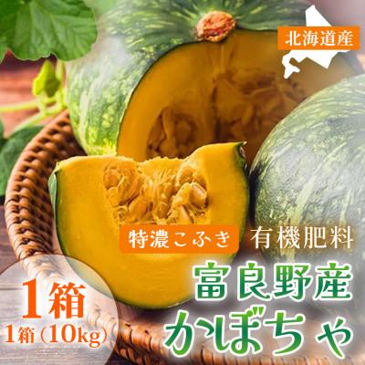 ふるさと納税 富良野市 [2026年9月中旬〜発送]北海道 ふらの 特濃こふき かぼちゃ 無選別 約10kg (守田農園)