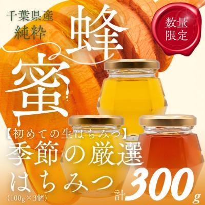 ふるさと納税 大網白里市 千葉県産「厳選純粋はちみつ」100g×3個[ランダムにセレクト]