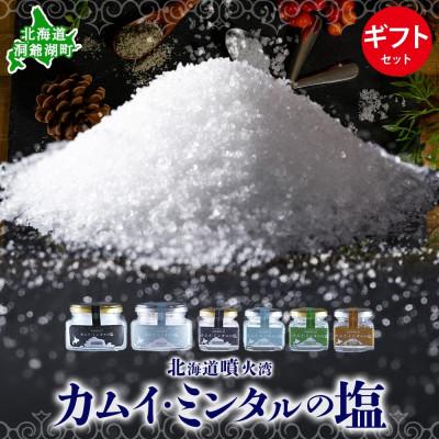 ふるさと納税 洞爺湖町 北海道噴火湾 カムイ・ミンタルの塩4種(大瓶・小瓶)ギフトセット