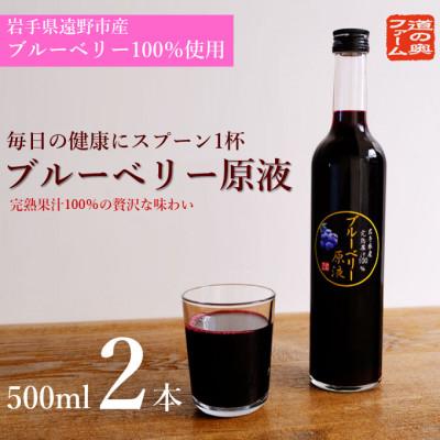 ふるさと納税 遠野市 [栽培期間中農薬不使用]遠野のブルーベリーから絞った原液2本セット