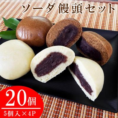 ふるさと納税 あさぎり町 ソーダ饅頭20個セット(プレーン10個・黒糖10個)