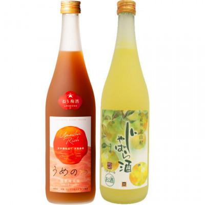 ふるさと納税 日高川町 「紀州完熟南高梅・ねりうめ酒」と「じゃばら酒」各720ml(日高川町)