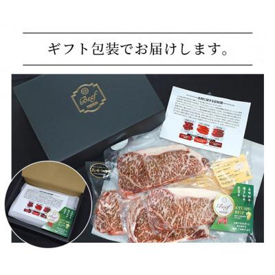 ふるさと納税 大村市 長崎和牛上ロース薄切り 500g(大村市) 大村市