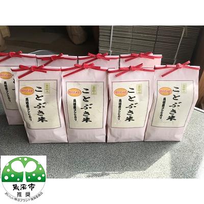 ふるさと納税 魚沼市 皇室献上 ことぶき米 (精米)3.6kg (450g×8個)