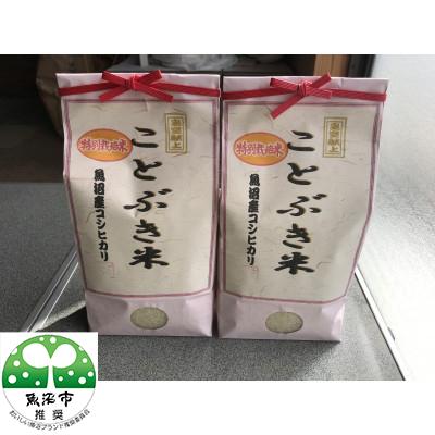 ふるさと納税 魚沼市 皇室献上 ことぶき米(精米)4kg(2kg×2)