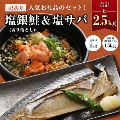 ふるさと納税 勝浦市 人気アイテム詰め合わせ 塩銀鮭(切り落とし)1.5kg+ 塩サバ 1kg 合計約2.5kg