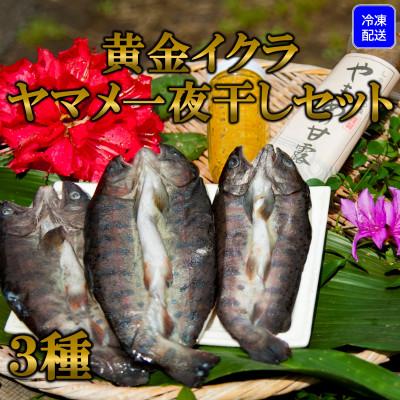 ふるさと納税 三股町 [テレビで紹介されました!][先行受付]黄金イクラとヤマメ一夜干しセット[A-0203]