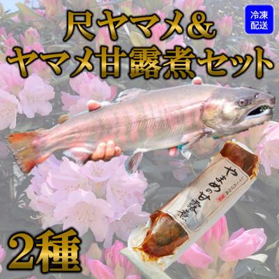 ふるさと納税 三股町 [テレビで紹介されました!]尺ヤマメプレミアムと甘露煮セット[MI020]