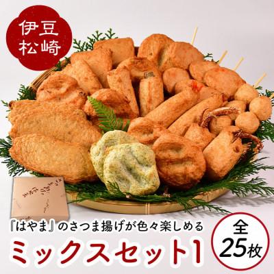 ふるさと納税 松崎町 さつまあげはやまのミックスセット1 全25枚 1600g