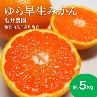ふるさと納税 日高川町 [樹上完熟]甘みとコクがはじける!日高川の恵み「ゆら早生みかん」 サイズ混合 約5kg