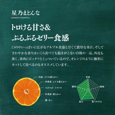 ふるさと納税 八幡浜市 星乃みかん園の 星乃まどんな (3.5kg)【E45-63】｜y-sf｜02