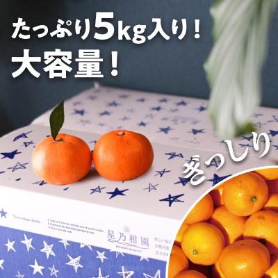 ふるさと納税 八幡浜市 【三つ星ブランド】星乃みかん園の星乃まどんな