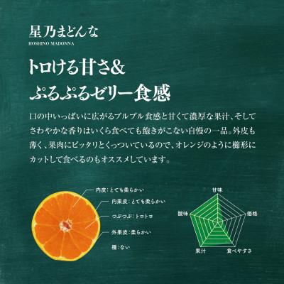 ふるさと納税 八幡浜市 【三つ星ブランド】星乃みかん園の星乃まどんな