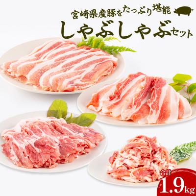 ふるさと納税 宮崎市 宮崎県産豚 しゃぶしゃぶ 切り落しセット 合計1.9kg
