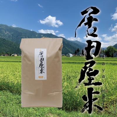 ふるさと納税 南魚沼市 居田屋米itaya-mai 塩沢コシヒカリ(精米5kg)
