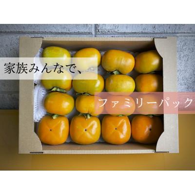ふるさと納税 橋本市 [先行受付]キタヤマ果樹園のたねなし柿 ファミリーパック(家庭用)15〜20個入り(L〜3L)