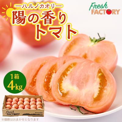 ふるさと納税 中野市 『陽の香り』トマト4kg箱満杯詰め 長野の自然が育てた恵 (個数おまかせ)