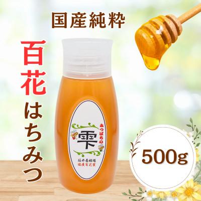 ふるさと納税 大牟田市 みつばちの雫 国産百花蜜 500g
