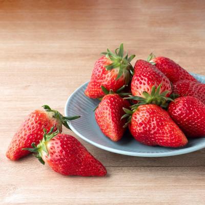 ふるさと納税 岩美町 「大粒いちご」B