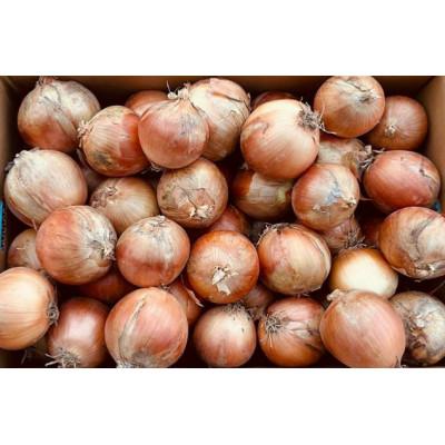 ふるさと納税 日高町 北海道産玉ねぎ 約18kg