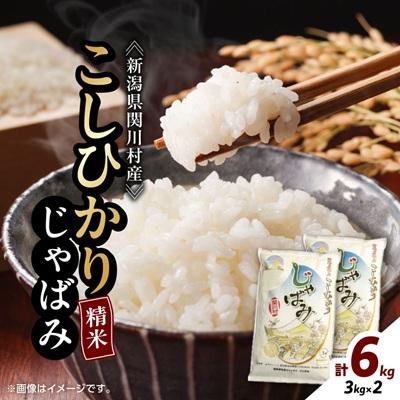 ふるさと納税 関川村 ふっくら食感!R7年産 関川村産コシヒカリ6kg(3kg×2) 丁寧に育てた贅沢米 [山口ファーム]