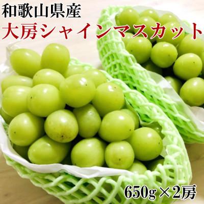 ふるさと納税 海南市 [数量限定]和歌山県産大房シャインマスカット2房入り(1房650g×2房)(海南市)