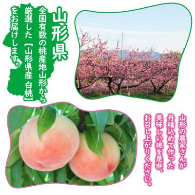 ふるさと納税 山形県 【令和8年発送 先行受付】※数量・期間限定※  <山形県産白桃> 品種・玉数おまかせ 約3kgの画像