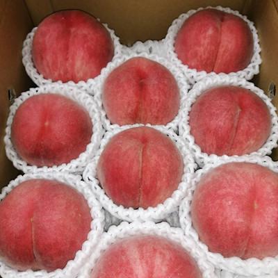 ふるさと納税 山形県 【令和8年発送 先行受付】※数量・期間限定※  <山形県産白桃> 品種・玉数おまかせ 約3kgの画像