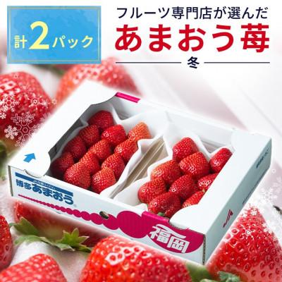 ふるさと納税 志免町 福岡産[冬]あまおう2パック(志免町)