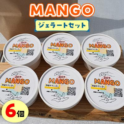 ふるさと納税 南城市 MANGO RICE GELATOセット