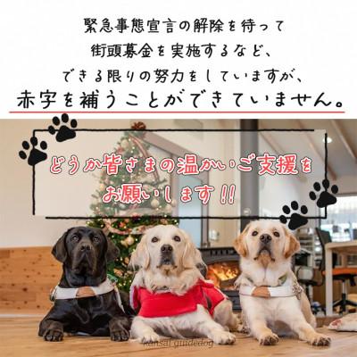 ふるさと納税 亀岡市 盲導犬訓練 支援寄付[盲導犬協会オリジナルグッズ]エコバッグなど3点｜y-sf｜04