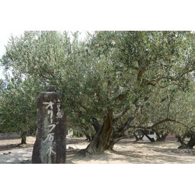 ふるさと納税 和歌山市 【創業180年】 (株)シマムラのこだわりのエキストラバージンオリーブオイルセット 