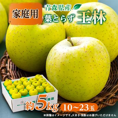 ふるさと納税 青森市 青森市産りんご「葉取らず王林」約5kg(家庭用)