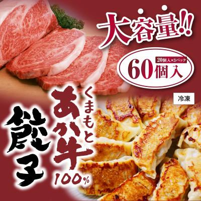 ふるさと納税 山鹿市 熊本県産 GI認証くまもとあか牛100%餃子60個(20個入り×3)(山鹿市)