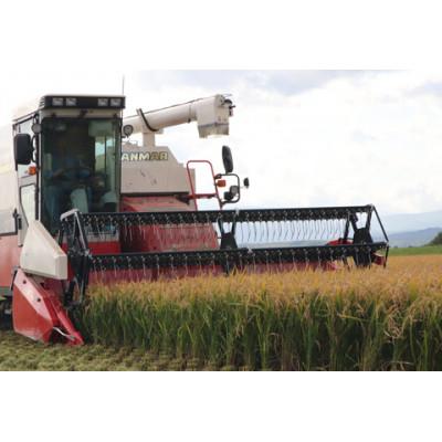 ふるさと納税 妹背牛町 先行受付令和5年産　北彩香　ゆめぴりかvsプレミアムななつぼし特A食べ比べ白米合計20kg　D020 