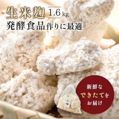 ふるさと納税 矢吹町 生米麹1.6kg 塩麹、生甘酒、醤油糀、味噌などの発酵食品作りに!安心安全の無添加!