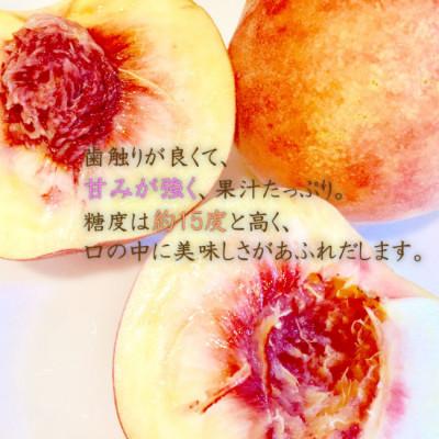 ふるさと納税 山形県 令和5年産先行受付 山形県産白桃3kg ※品種おまかせ|y-sf|04