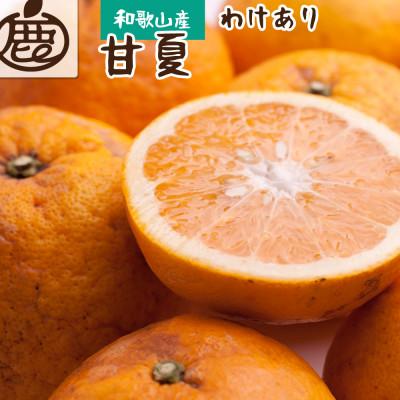 ふるさと納税 那智勝浦町 家庭用 甘夏柑10kg+250g(傷み補償分)[初夏のみかん・旬の果物][有田産][訳あり]