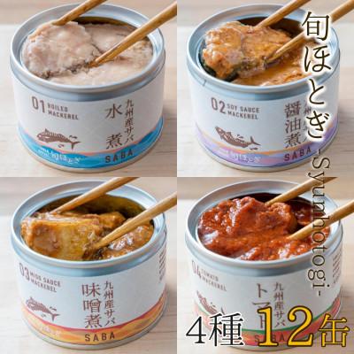 ふるさと納税 松浦市 缶詰工場直送 伝統のさば缶「旬ほとぎ」4種類の味わい12缶
