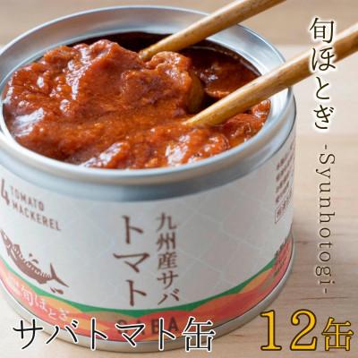 ふるさと納税 松浦市 缶詰工場直送 伝統のさば缶「旬ほとぎ」トマト12缶