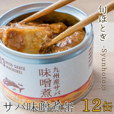 ふるさと納税 松浦市 缶詰工場直送 伝統のさば缶「旬ほとぎ」味噌煮12缶