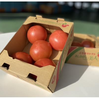 ふるさと納税 足利市 太陽の恵みを受けて育った あしかが美人トマト1kg×2箱