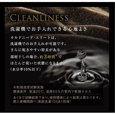 ふるさと納税 泉大津市 カルドニード・エリート 敷き毛布 シングル
