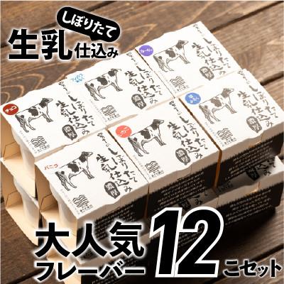 ふるさと納税 四万十町 搾りたて生乳仕込みの濃厚ミルクアイス 人気フレーバー 6種12個セット