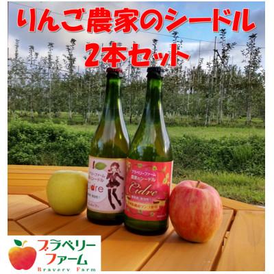 ふるさと納税 飯綱町 シードル 2本セット(甘口・辛口)