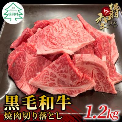 ふるさと納税 根羽村 根羽こだわり和牛 焼肉切り落とし 1.2kg (600g×2パック)