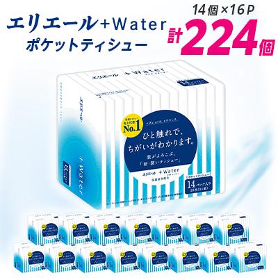 ふるさと納税 津山市 エリエール +Water(プラス ウォーター)ポケットティシュー 14組14個×16P(224個)