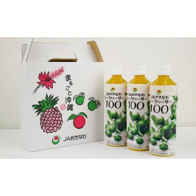 ふるさと納税 大宜味村 【シークヮーサー100】PETボトル(500ml)3本セット｜y-sf｜02